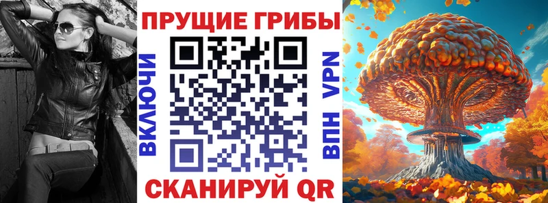 купить наркотик  Кимовск  Псилоцибиновые грибы Magic Shrooms 