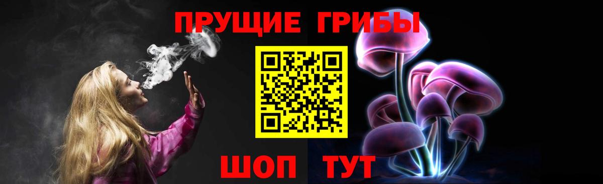 Кимовск  Псилоцибиновые грибы прущие грибы  Вход с VPN 