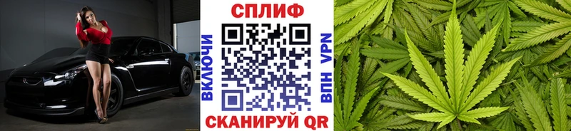 Каннабис конопля Кимовск